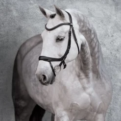 Schockemöhle Equitus Alpha Bridle