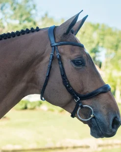 Schockemöhle Equitus Delta Bridle