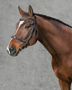 Schockemöhle Equitus Delta Bridle