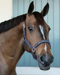 Schockemöhle Memphis Halter