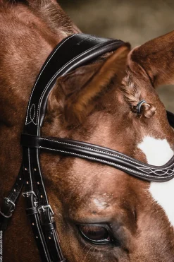 Schockemöhle Monza Fancy Stitched Bridle