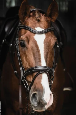 Schockemöhle Monza Fancy Stitched Bridle