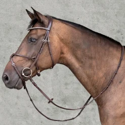Schockemöhle Rio Select Anatomic Figure-8 Bridle