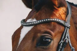 Schockemöhle Rome Select Bridle