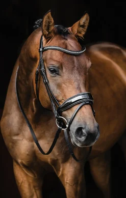 Schockemöhle Standford Glam Bridle