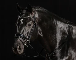 Schockemöhle Standford Glam Bridle