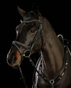 Schockemöhle Tokyo F Bridle