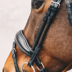 Schockemöhle Malibu Bridle