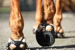 Scoot Boot Adjust Hoof Boots - Pair