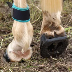 Scoot Boot Skins Glue-On - 2 Pack