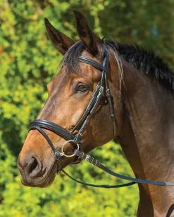 Shires Avignon Aspen Bridle