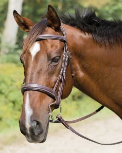 Shires Avignon Wellington Bridle