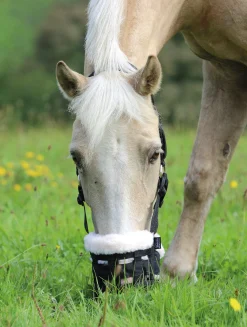 Shires Deluxe Grass Muzzle