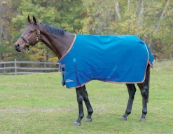 Shires Highlander 200G Blanket