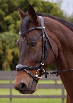 Showmark® Ergonomic Flash Bridle