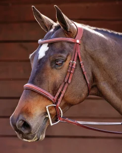 Showmark® Ergonomic Hunter Bridle