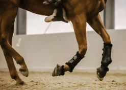 Stübben Airflow Fleece-Lined Brushing Boots