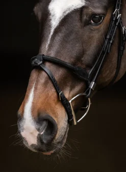 Stübben Pro Jump Bridle with Rope Noseband & Removable Flash
