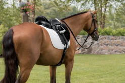 Steffen's Advantage Buffalo Single Flap Dressage Saddle
