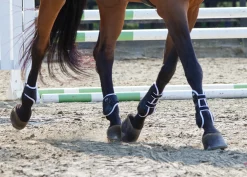 Stride™ Open-Front Tendon Boots