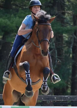 Stride™ Open-Front Tendon Boots