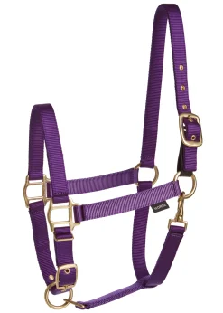 Suffolk™ Heavy Nylon Breakaway Halter with Fuse