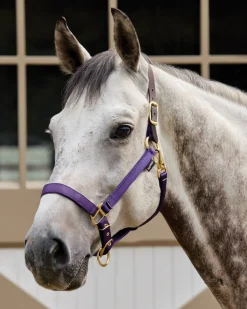 Suffolk™ Heavy Nylon Halter with Breakaway Crown