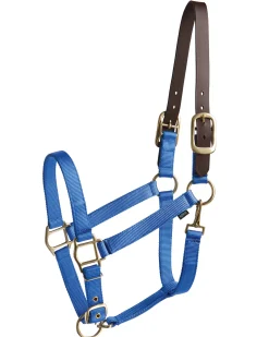 Suffolk™ Heavy Nylon Halter with Breakaway Crown