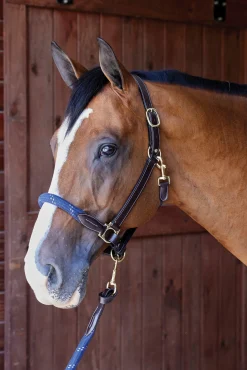 Suffolk™ Leather & Rope Halter with Lead
