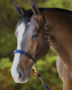 Suffolk™ Leather & Rope Halter with Lead