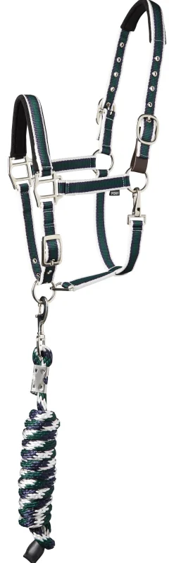 Suffolk™ Padded Striped Breakaway Halter & Lead