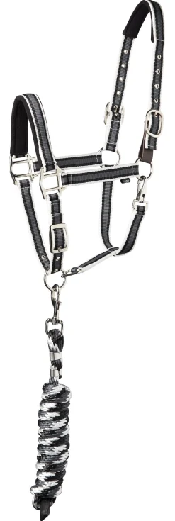 Suffolk™ Padded Striped Breakaway Halter & Lead