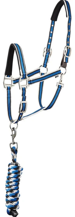 Suffolk™ Padded Striped Breakaway Halter & Lead