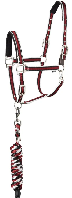 Suffolk™ Padded Striped Breakaway Halter & Lead