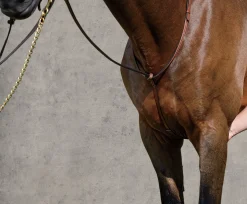 Suffolk™ Raised Standing Martingale