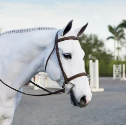 Suffolk™ Single Crown Hunter Bridle