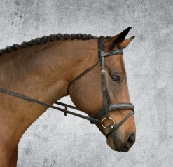 Suffolk™ Single Crown Padded Dressage Bridle