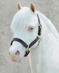 Suffolk™ Palermo Triple-Stitched Halter