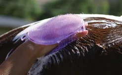 Tail Tamers® Jelly Scrubber Mitt