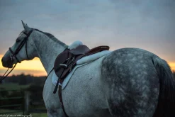 ThinLine® Sheepskin Comfort Half Pad