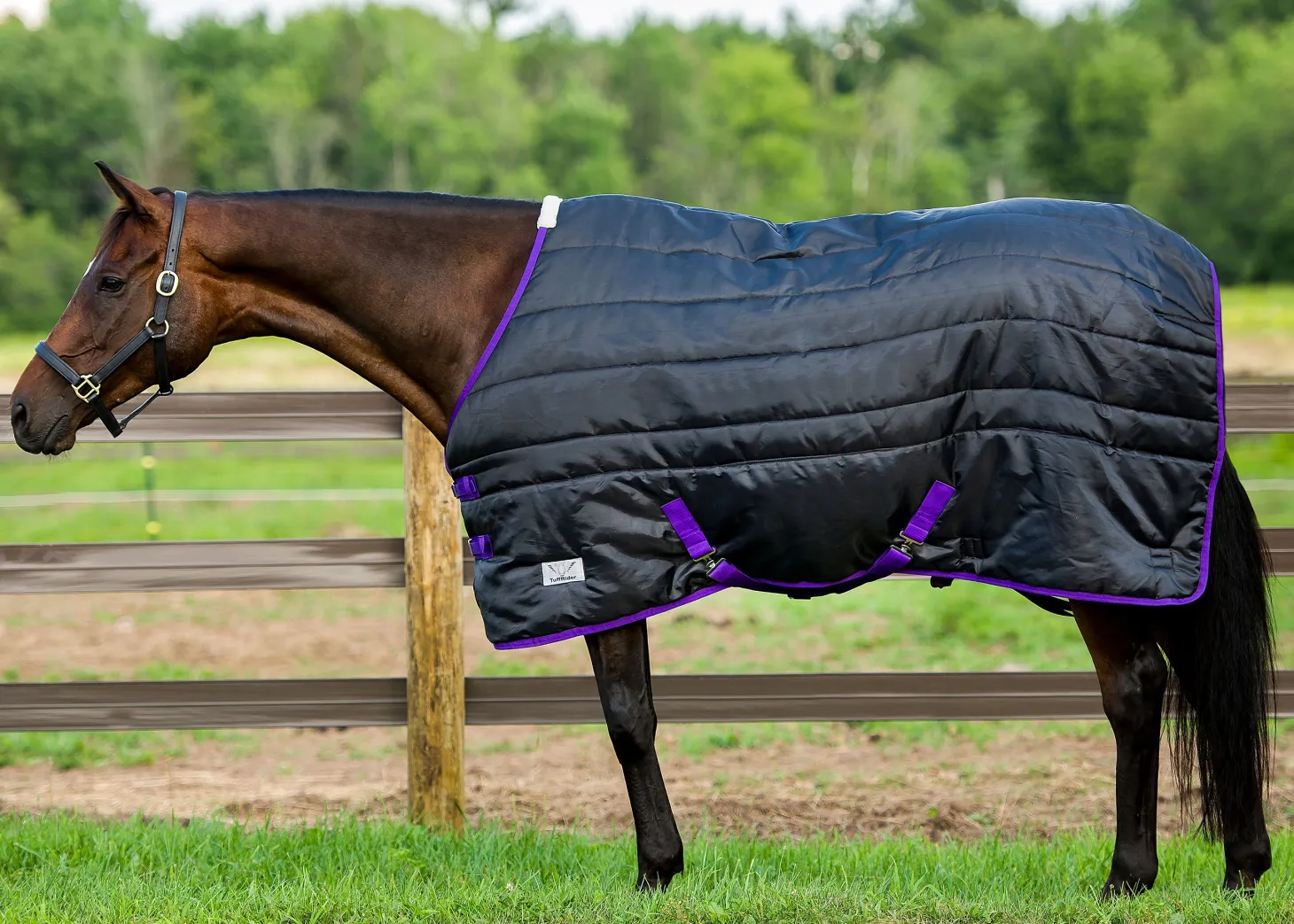 TuffRider® Kozy Komfort Stable Blanket