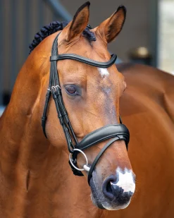 Velociti Lusso Dressage Flash Bridle