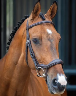 Velociti Lusso Ergonomic Flash Bridle