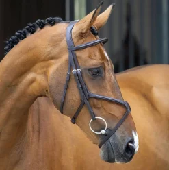 Velociti Lusso Grackle Bridle
