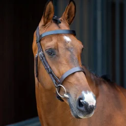 Velociti Lusso Hunter Caveson Bridle