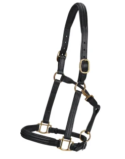 Vespucci Double Raised Halter