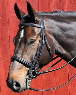 Vespucci Dressage Double Raised Weymouth Bridle