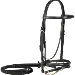 Vespucci Plain Raised Dressage Bridle with Flash