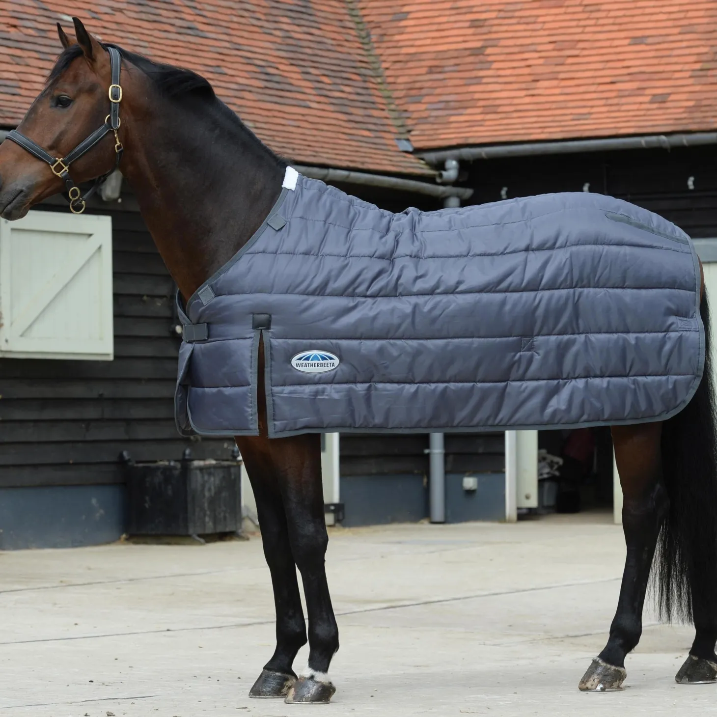 WeatherBeeta® ComFiTec™ Medium/Lite Blanket Liner