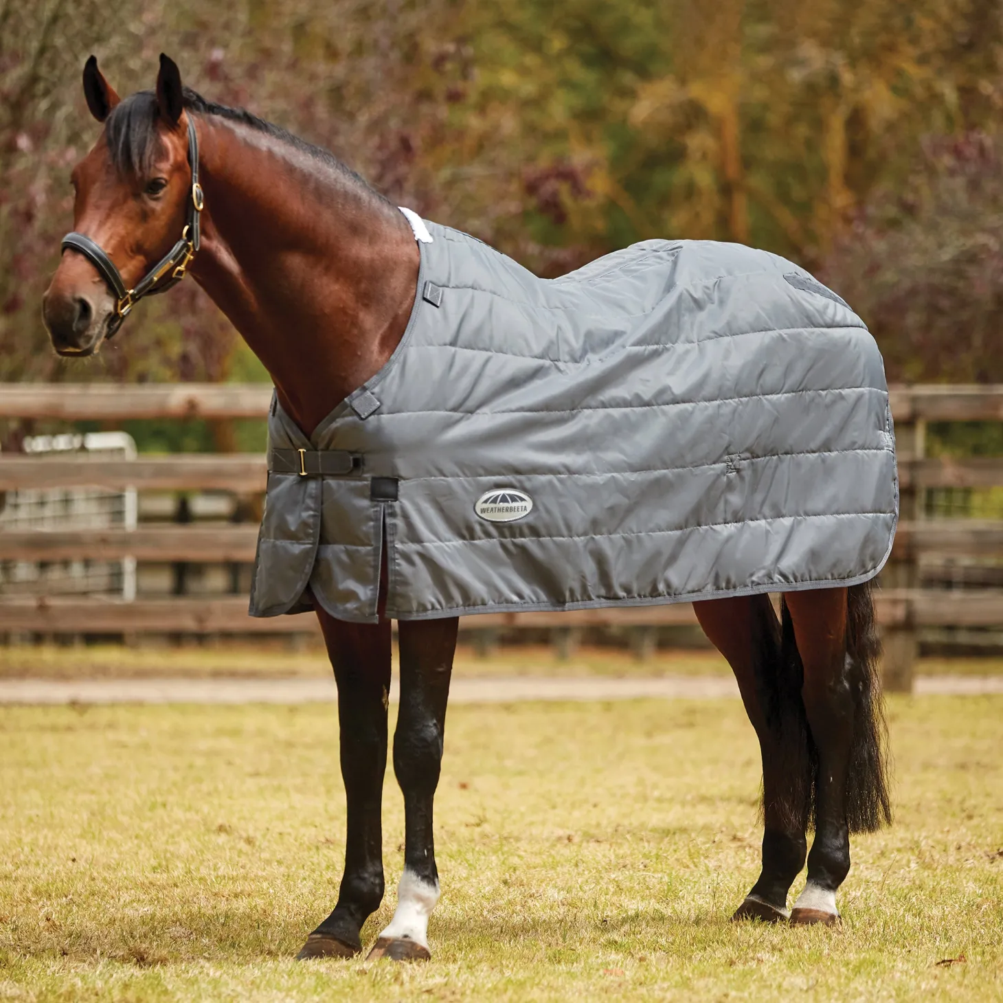 WeatherBeeta® ComFiTec™ Medium/Lite Blanket Liner